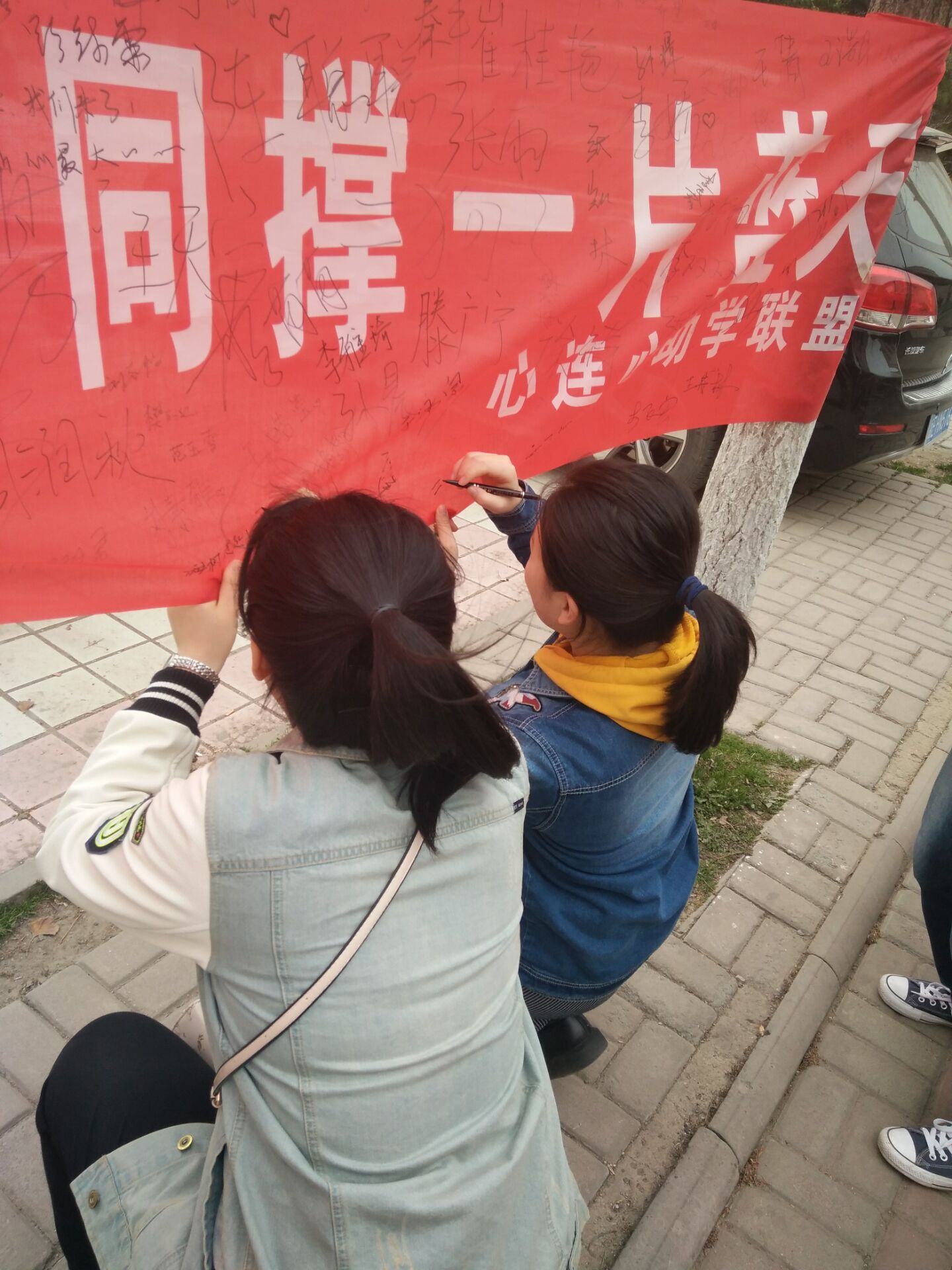 “共植万顷绿,同撑一片天”