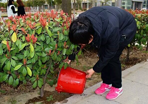小树,我们给你浇水~