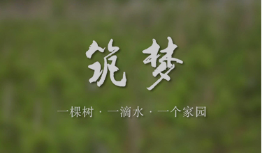 det365在线